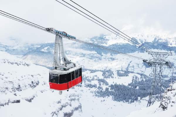 Activities offerd by Aayushtrip 